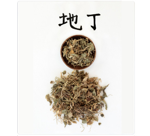 chinese herbs